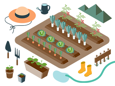 家庭菜園ブログ